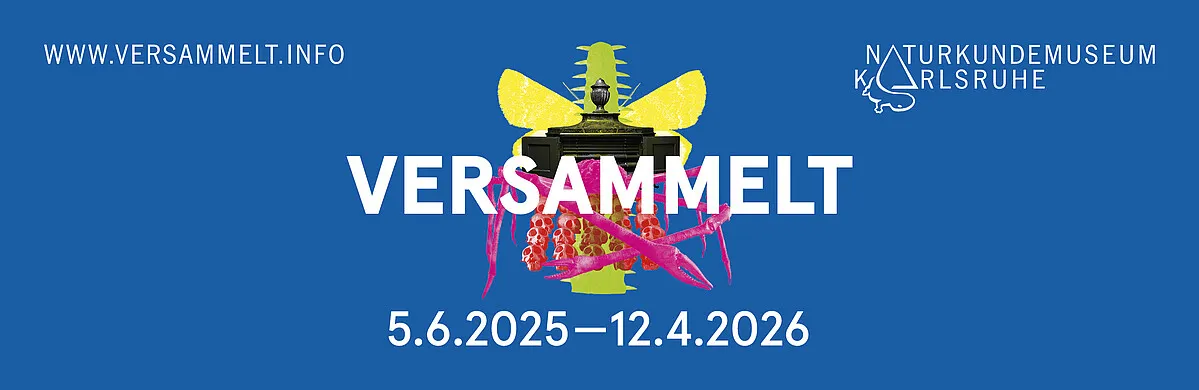 Versammelt - Naturkundemuseum Karlsruhe