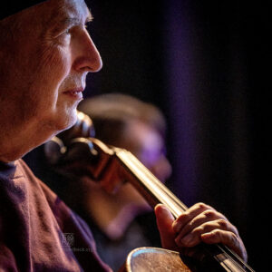 Sondermann Gala 2019 mit Nicolas Mahler / Stefanie Sargnagel - Photo: Frank Schindelbeck