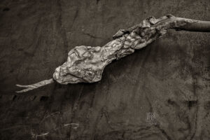 Ausstellung Kiefer - Kunsthalle Mannheim - Photo: Schindelbeck