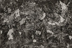 Ausstellung Kiefer - Kunsthalle Mannheim - Photo: Schindelbeck