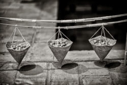 documenta 15 - Photo: Schindelbeck