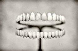 documenta 15 - Photo: Schindelbeck