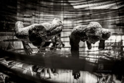 documenta 15 - Photo: Schindelbeck