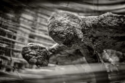 documenta 15 - Photo: Schindelbeck