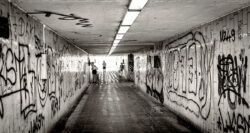 documenta 15 - Photo: Schindelbeck